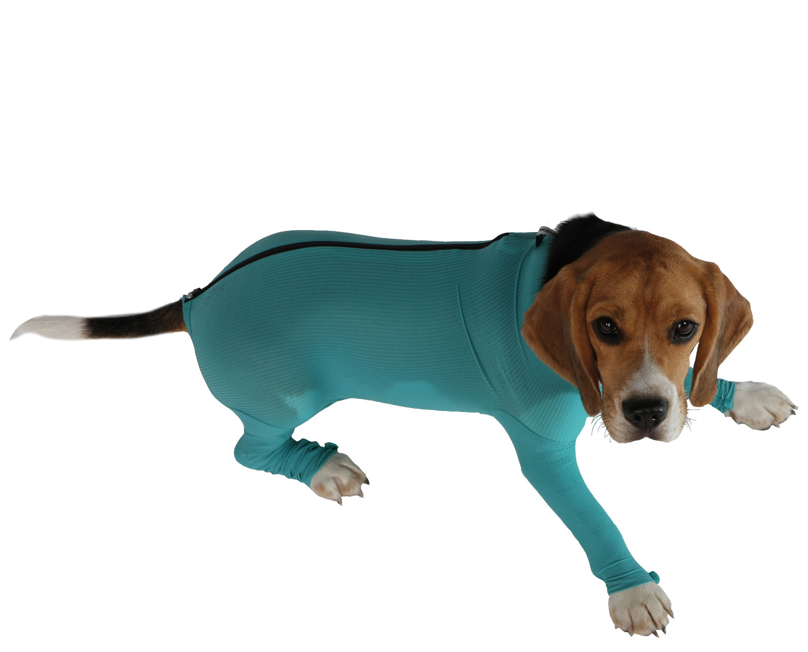 Bodystocking med lynlås og ben til hund, VetMedCare